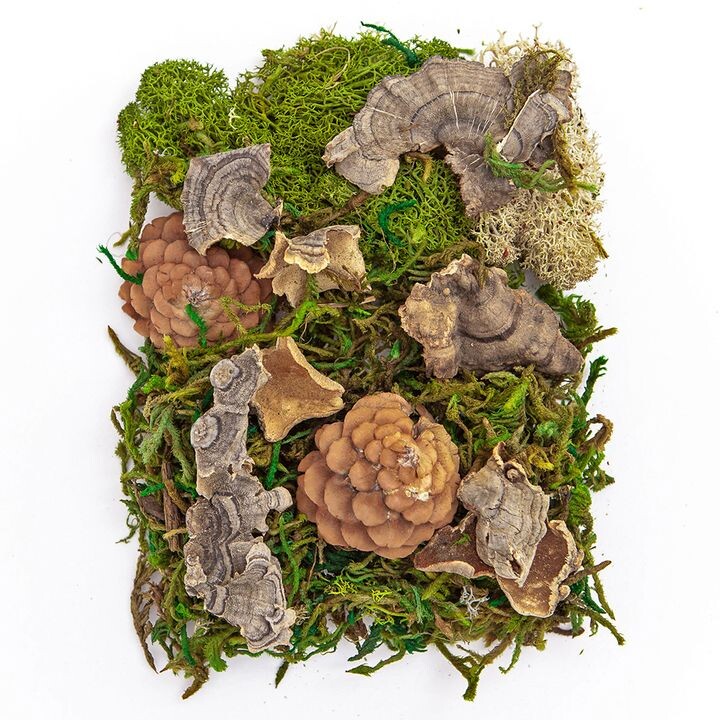 Mix machu a prírodných prvkov 30 g