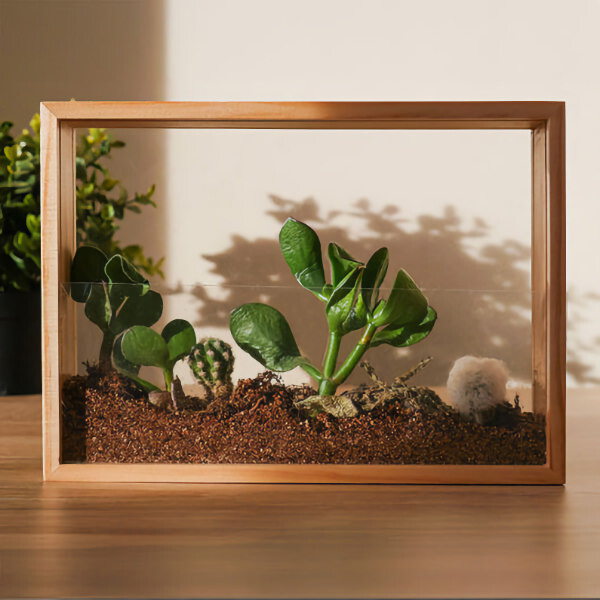 DIY sada na vytvorenie vlastnej vertikálnej záhrady