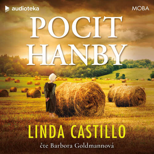 Pocit hanby - Linda Castillo (mp3 audiokniha)