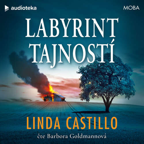 Labyrint tajností - Linda Castillo (mp3 audiokniha)