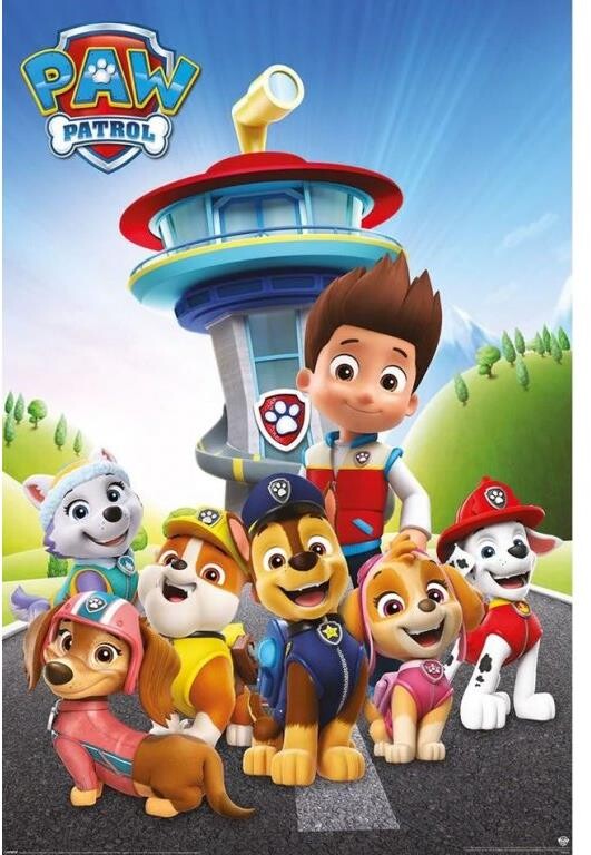 Paw Patrol: Ready For Action