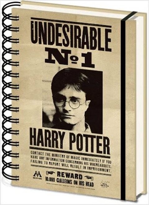 Harry Potter – Sirius and Harry – zápisník 3D premieňací