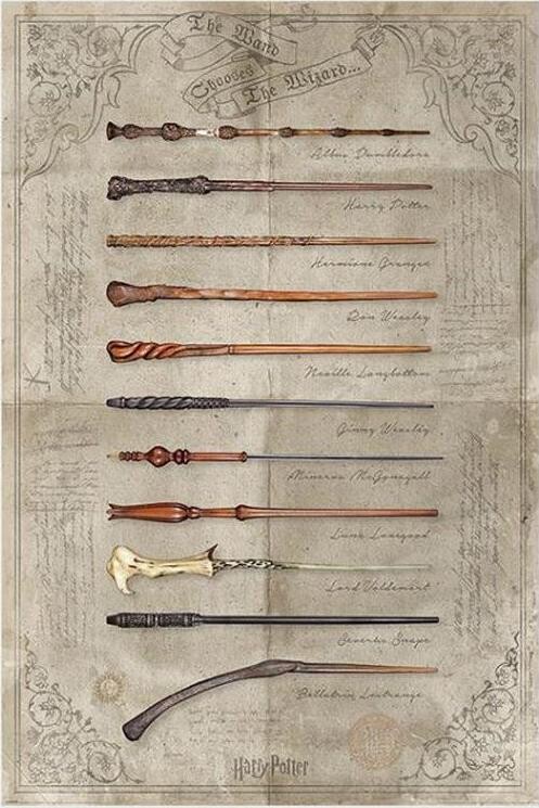 Harry Potter The Wand Chooses The Wizard