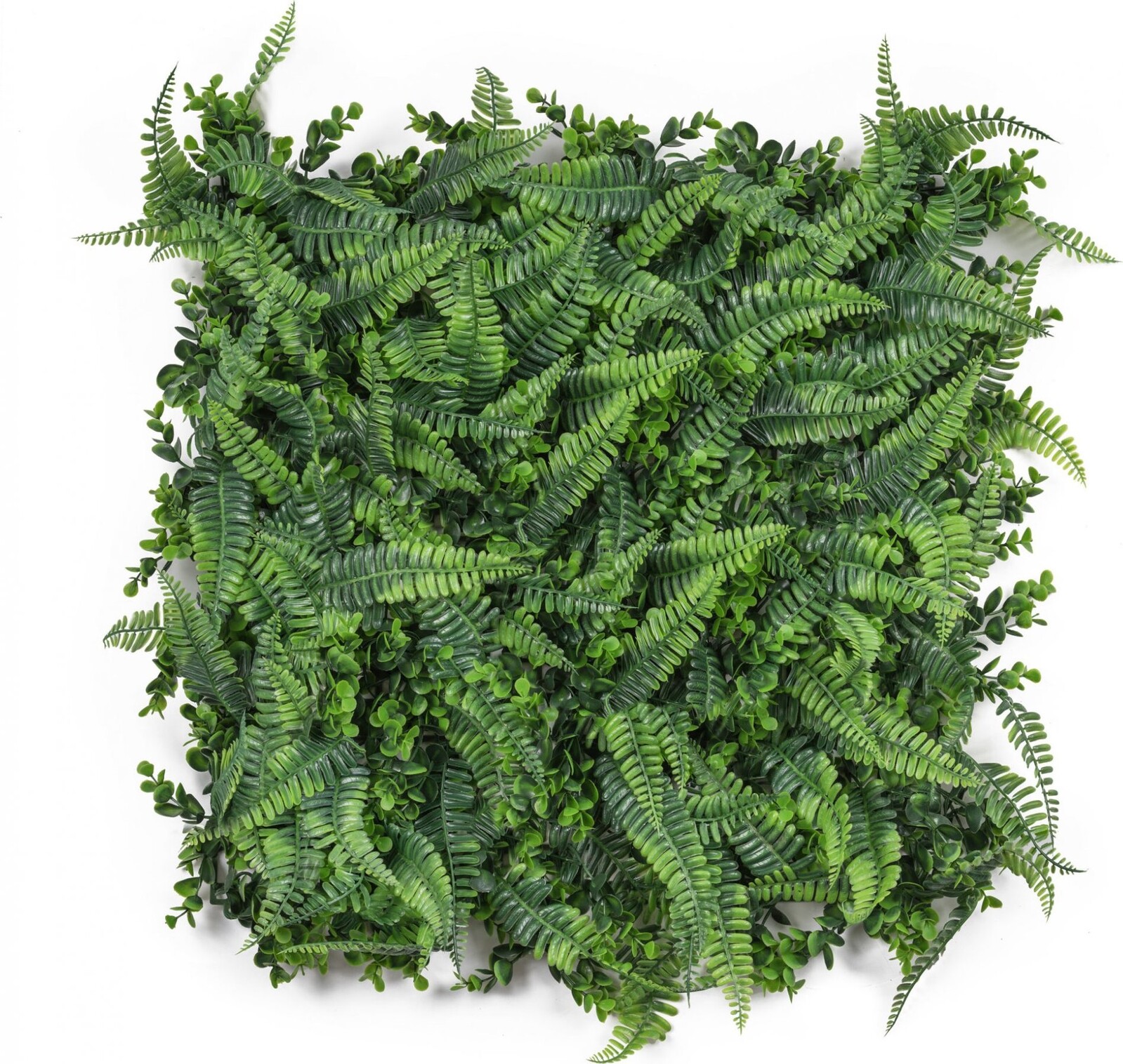 G21 Listo Ferns Umelá zelená stena, 50 × 50 cm