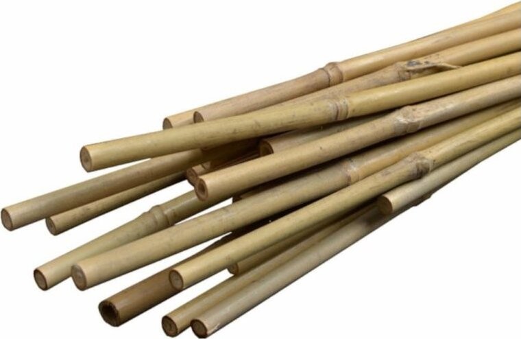 Igotrend Tyč k rostlinám BAMBUS 210 cm, set 3 ks