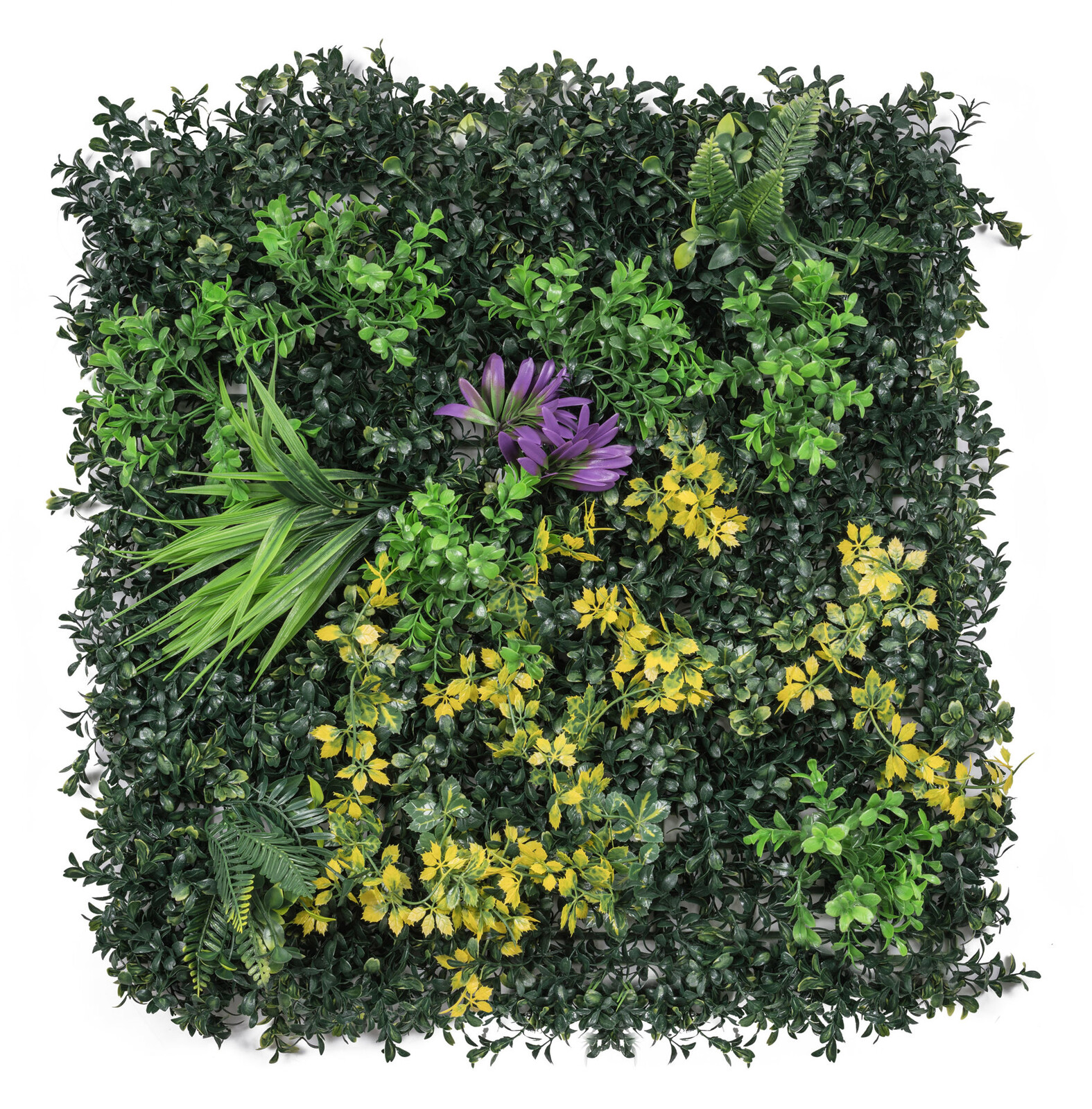 G21 Listo Herb Umelá zelená stena, 50 × 50 cm