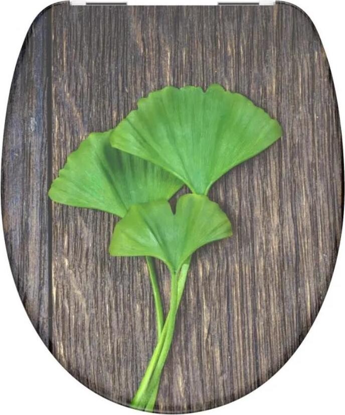 SCHÜTTE GINGKO und WOOD Duroplast, Soft Close