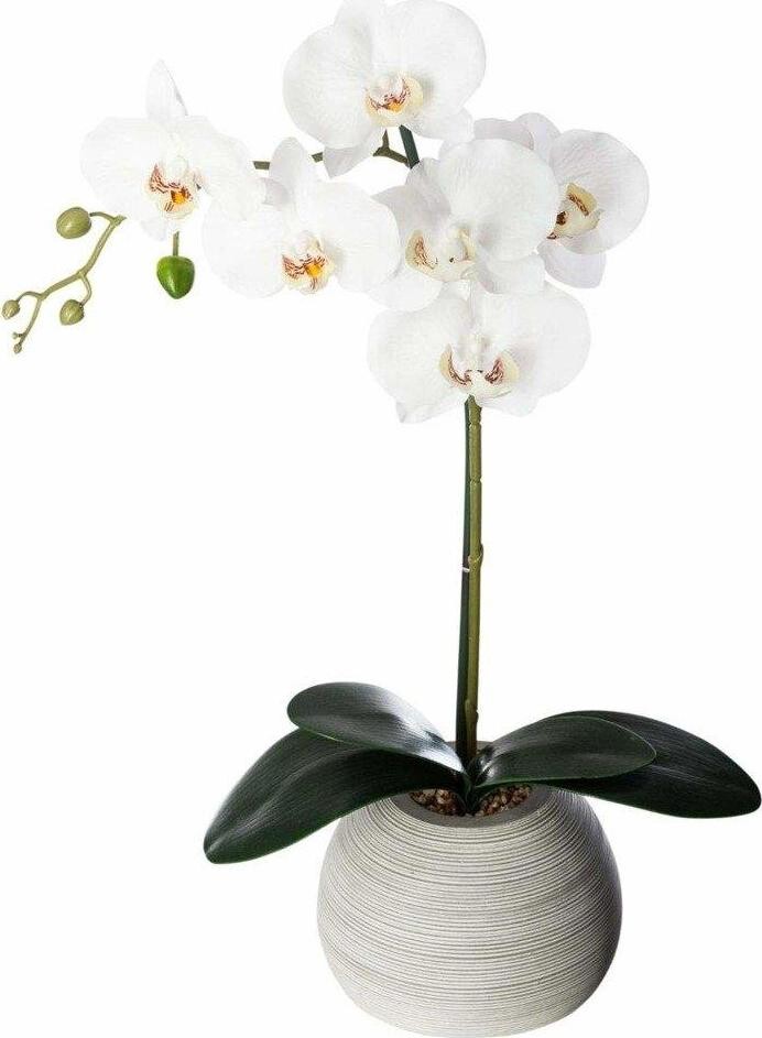 ATMOSPHERA Orchidee Real Touch Cim H.53