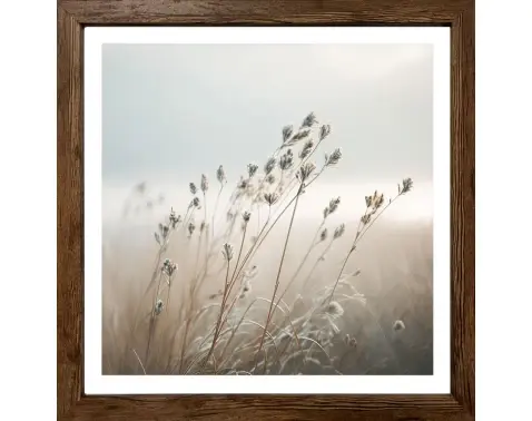 Rámovaný obraz Luční tráva 35x35 cm, dub tmavý%