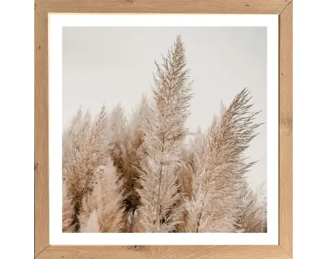 Rámovaný obraz Pampas 35x35 cm, dub artisan%