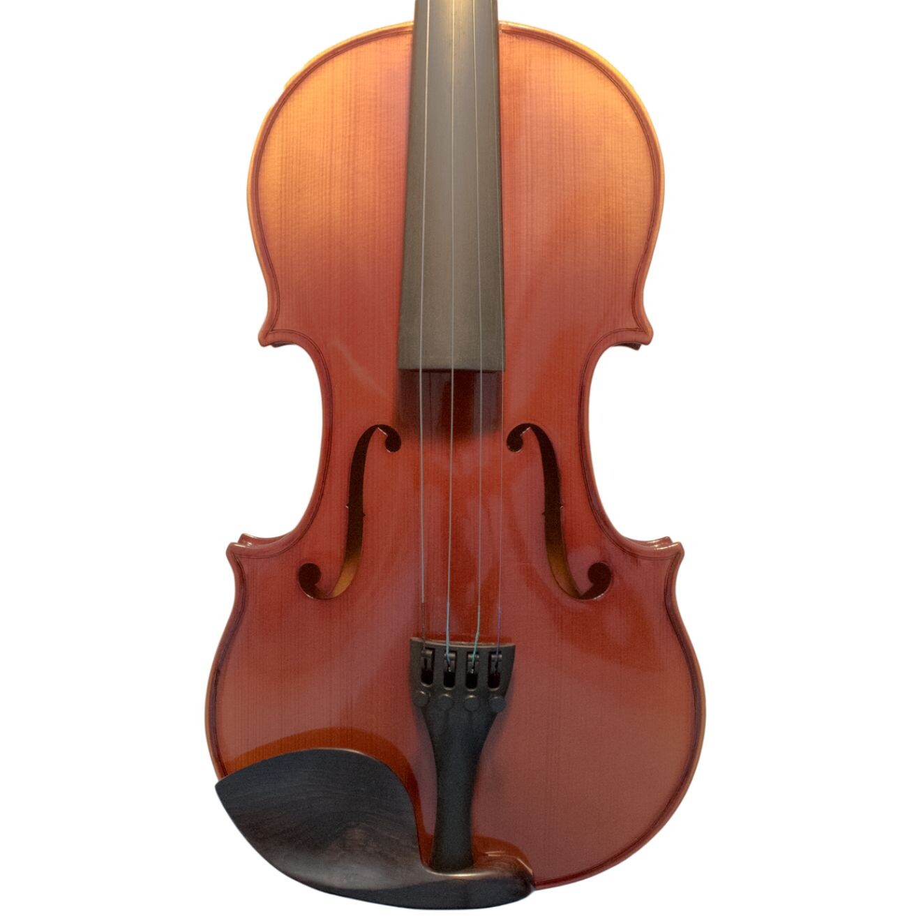 Petz Violin set TW550SSP - ready to play