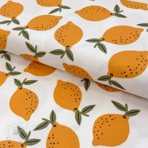 Dekoračná látka Fruits design E