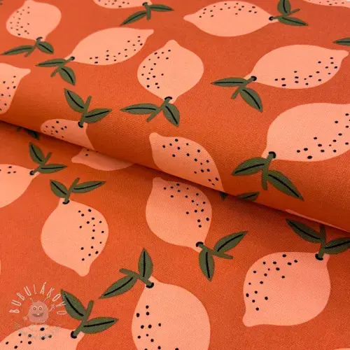 Dekoračná látka Fruits design F