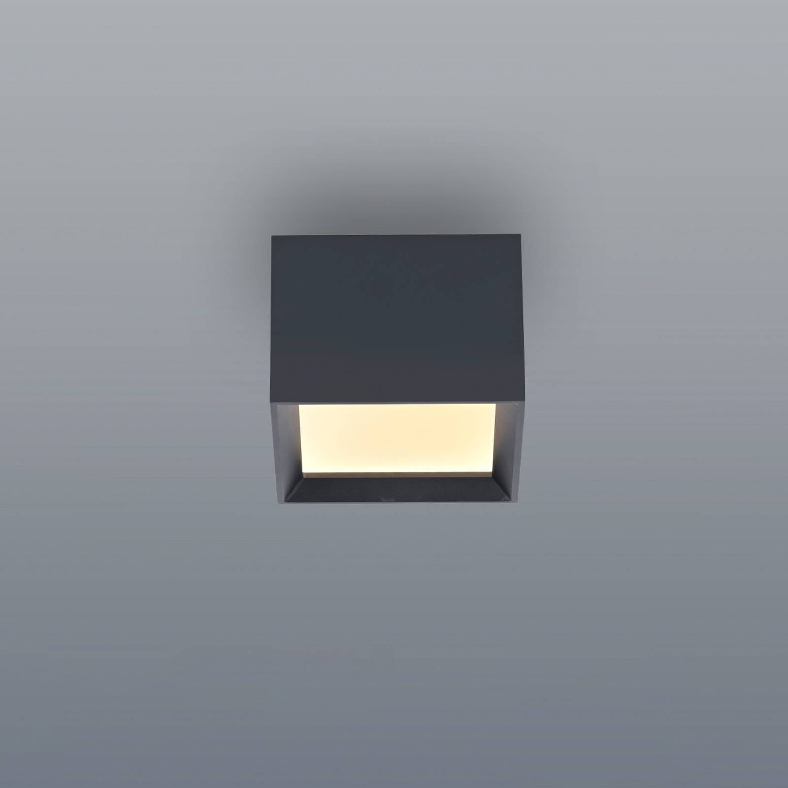 Stropné LED svetlo PURE Manhatten, mystic grey, 1-pl., CCT