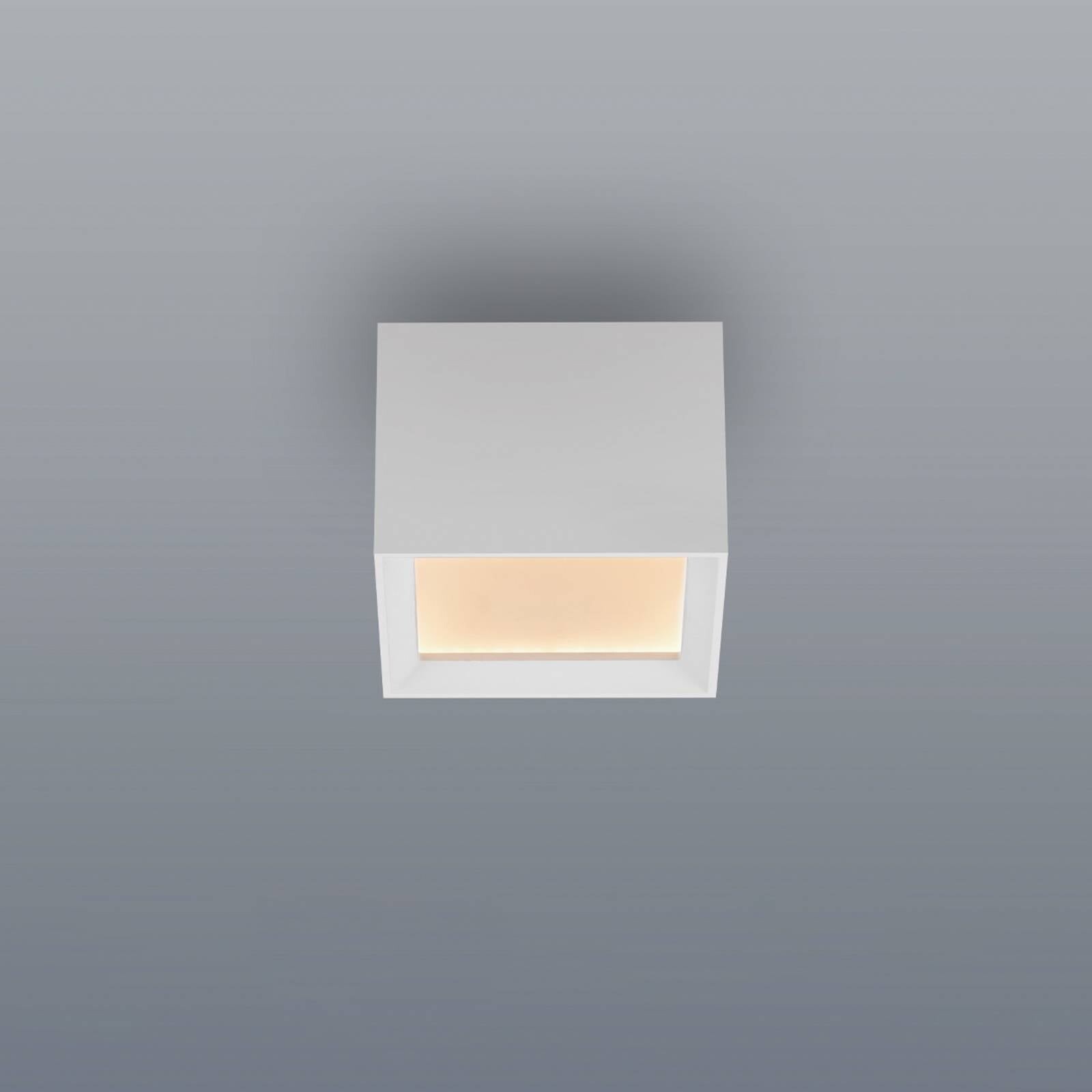 Stropné LED svetlo PURE Manhatten, snehová biela, 1-pl., CCT