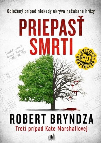 Priepasť smrti, Bryndza Robert