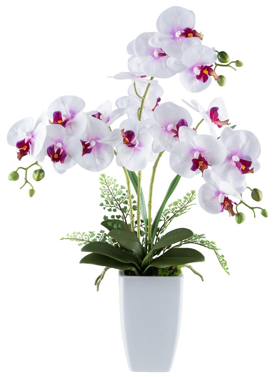 Umelá orchidea 67 cm, bielo-fialová, II. kvalita