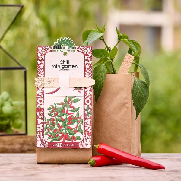Minigarten: Sada na pestovanie - chilli