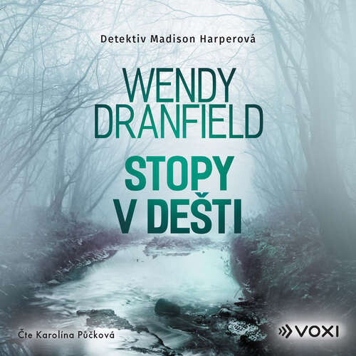 Stopy v dešti - Wendy Dranfield (mp3 audiokniha)
