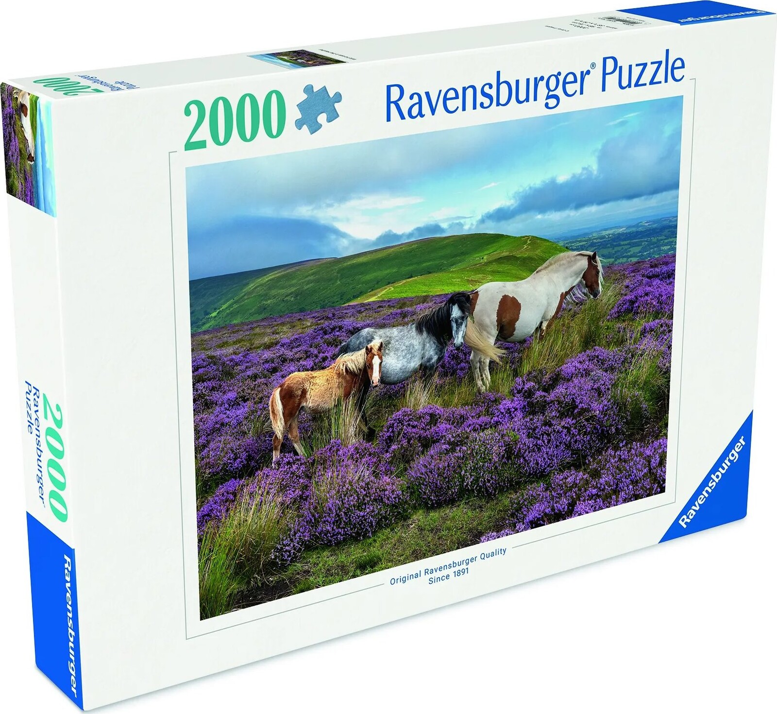 Ravensburger 120017516 Divé kone