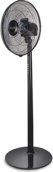 ARGO 398200033 Standy Evo Black