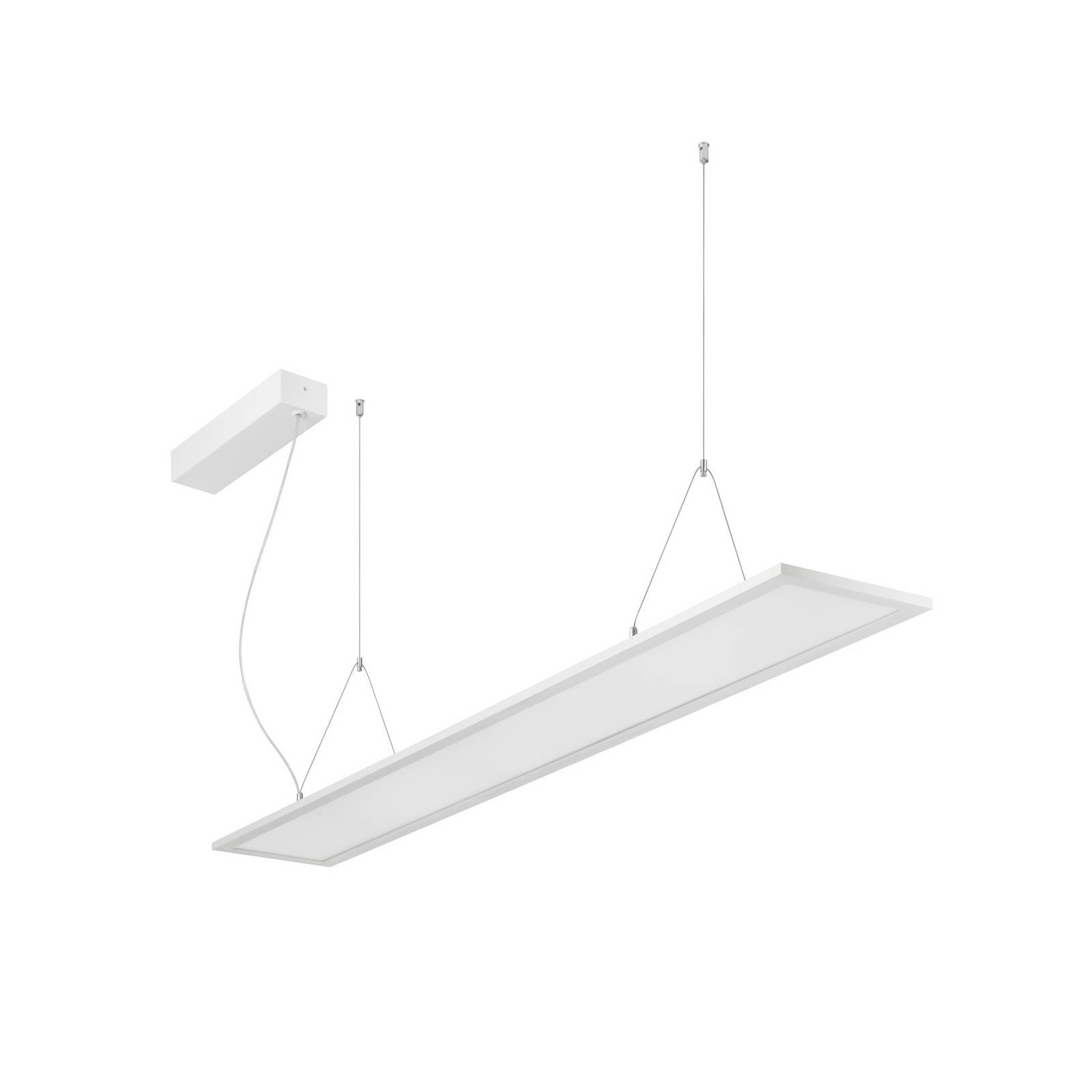 BRUMBERG LED závesné svietidlo Adara 149,5 cm, DALI, 2CCT, mikroprizma