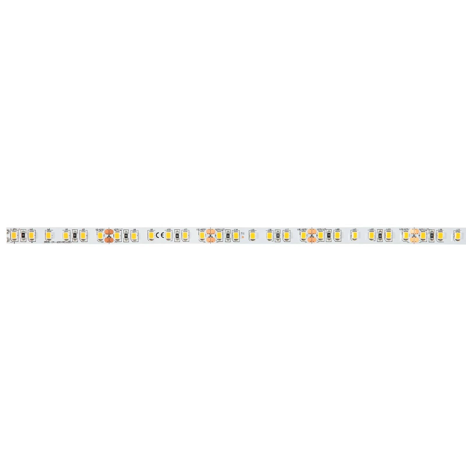 BRUMBERG LED pásik QUALITYFLEX ONE 14,4 W/m, 2 700 K, dĺžka 5 m