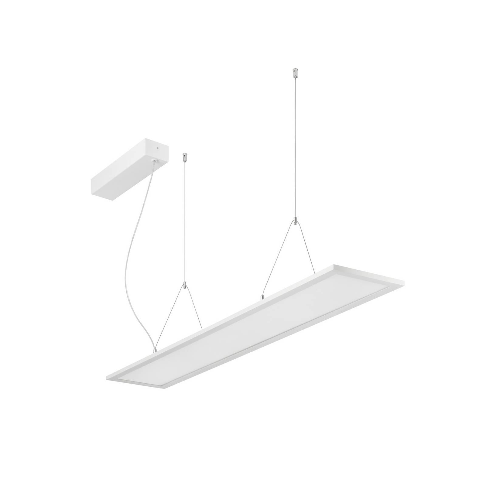 BRUMBERG LED závesné svietidlo Adara 119,5 cm TunableWhite s mikroprizmami