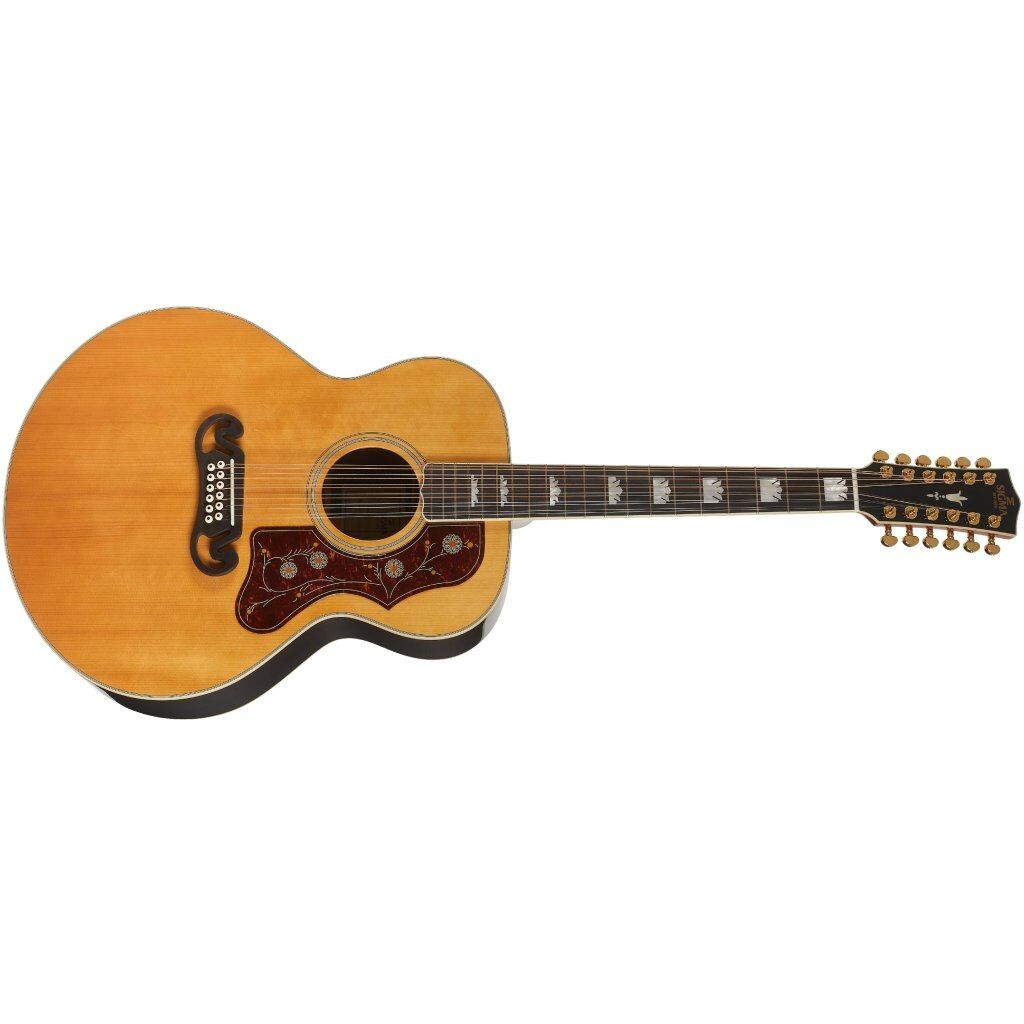 Sigma Guitars SGJR12-SG200