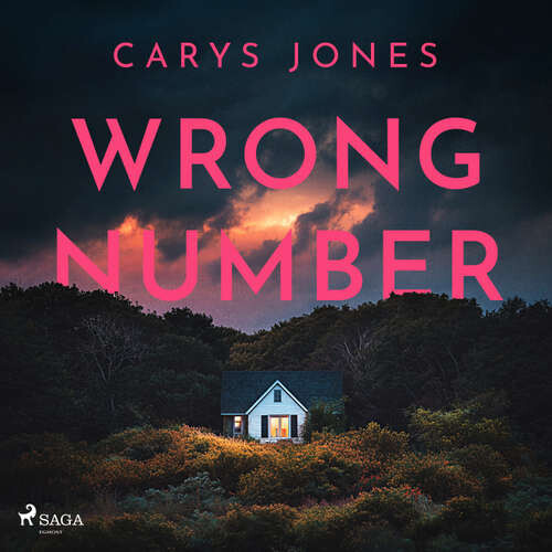 Wrong Number (EN) - Carys Jones (mp3 audiokniha)