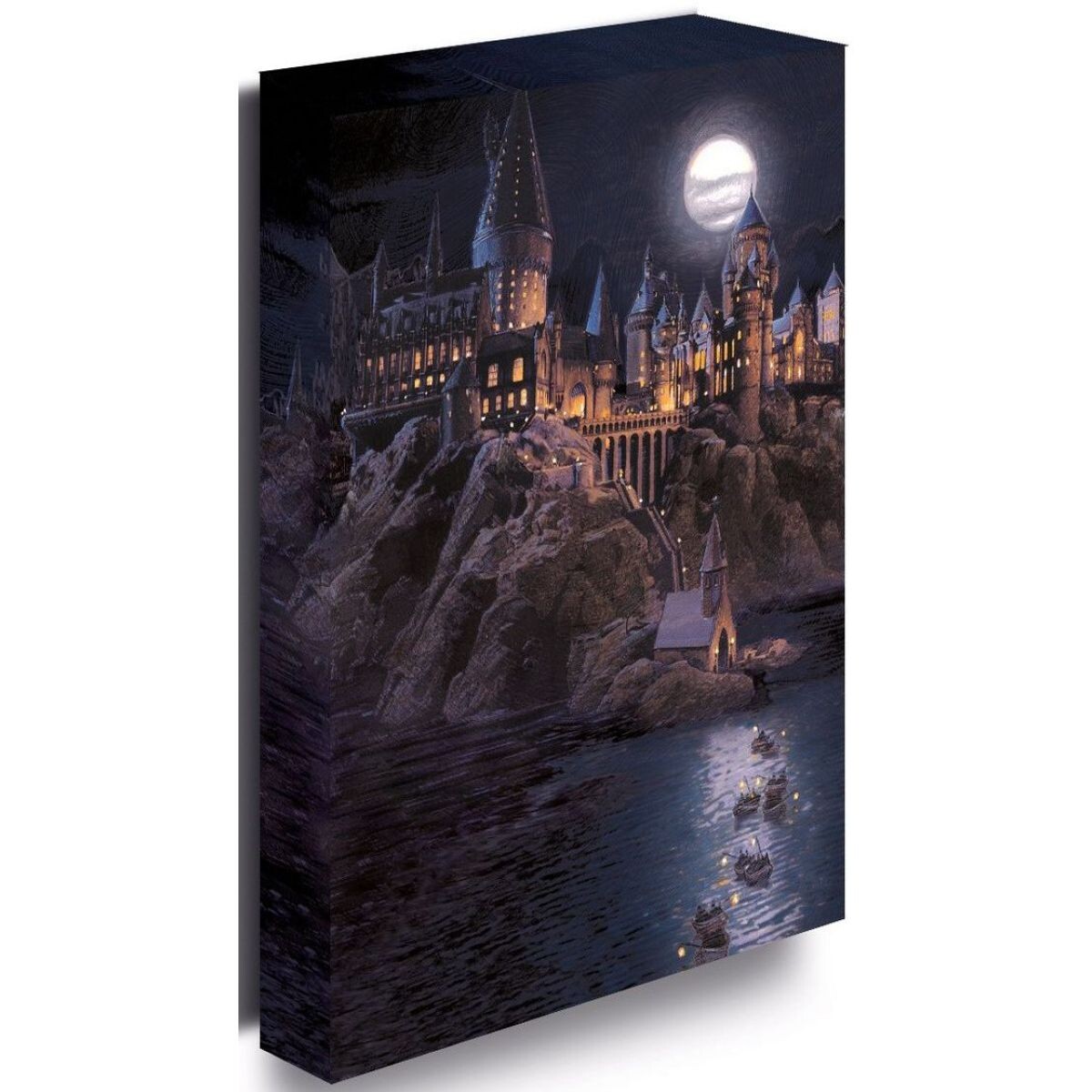 Pyramid International Harry Potter Obraz LED svietiaci 30x40 cm Bradavice hrad