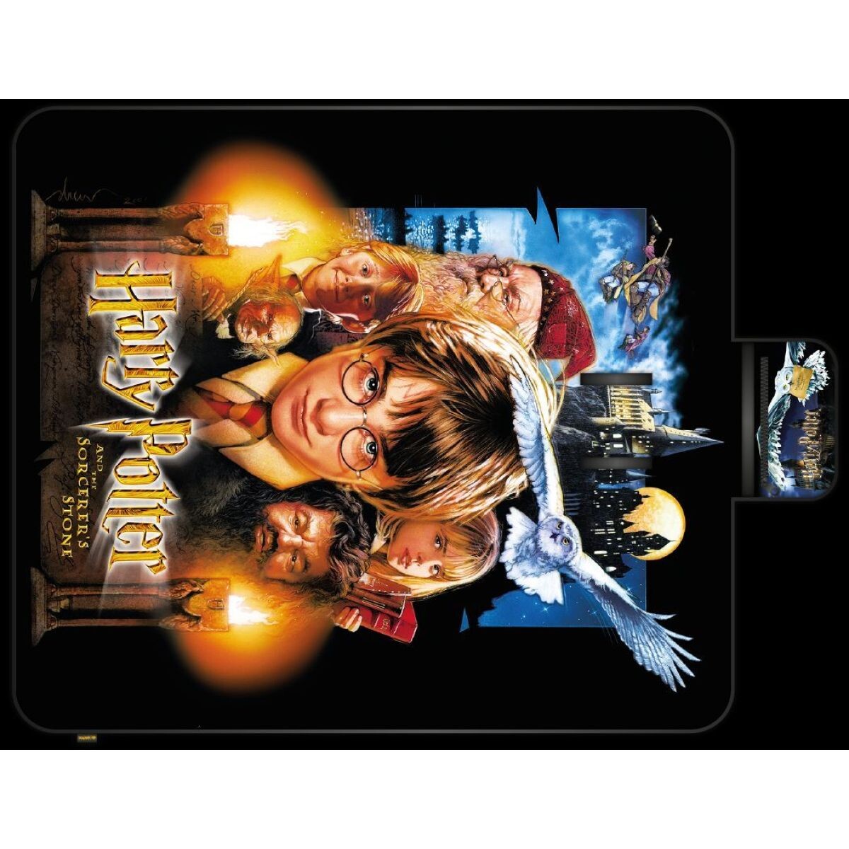 Bluesky Harry Potter 20 rokov Pikniková deka