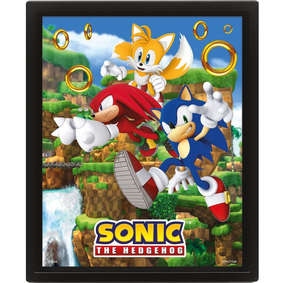 Pyramid International Sonic 3D obraz Catching Rings