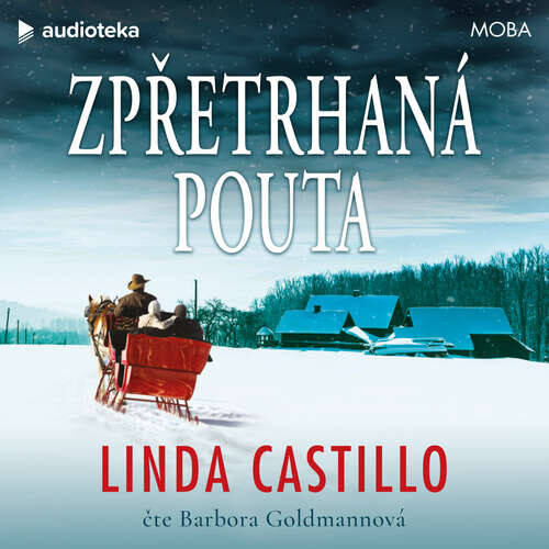 Zpřetrhaná pouta - Linda Castillo (mp3 audiokniha)