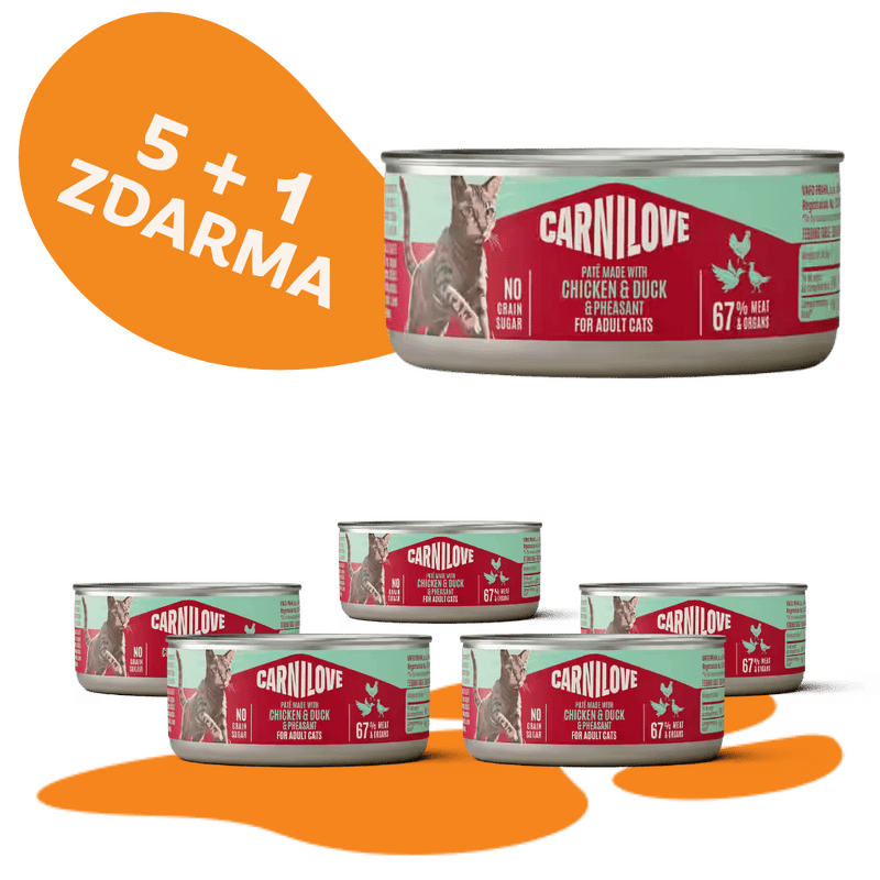 5 + 1 ZADARMO CARNILOVE Cat CAN Paté Made with Chicken, Duck & Pheasant 100 g