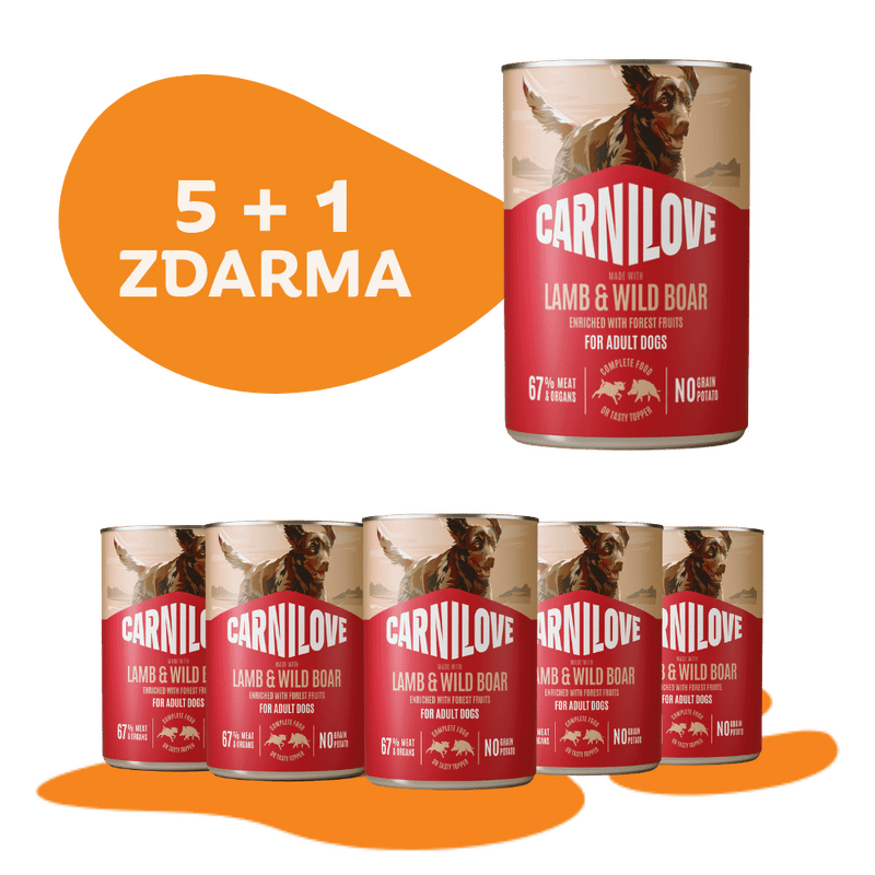 5 + 1 ZADARMO CARNILOVE Dog CAN Paté Made with Lamb & Wild Boar 400 g