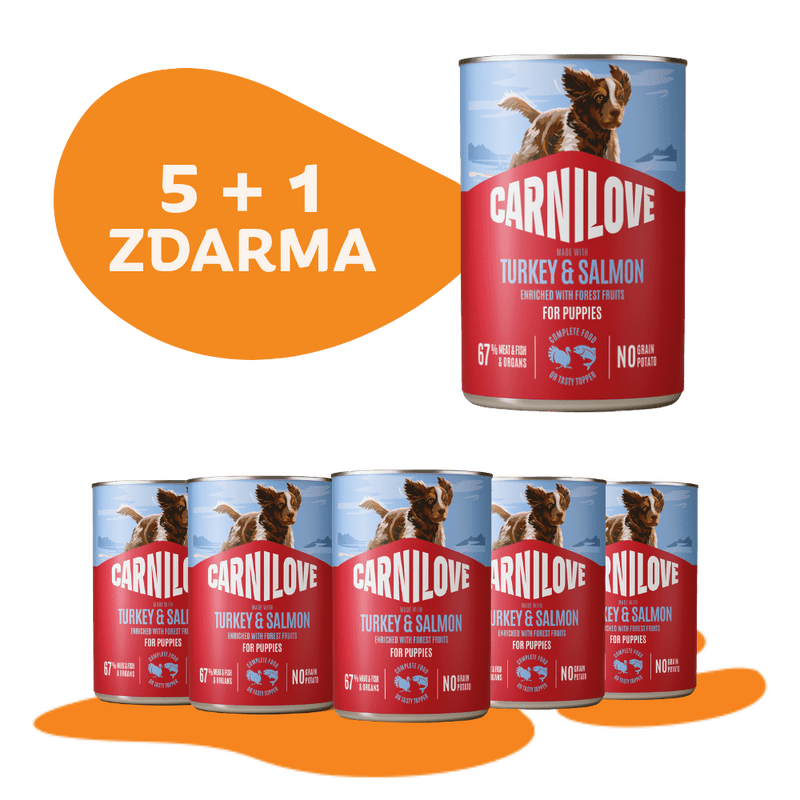5 + 1 ZADARMO CARNILOVE Dog CAN Paté Made with Turkey & Salmon for Puppies 400 g