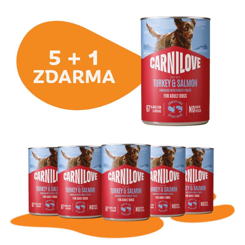 5 + 1 ZADARMO CARNILOVE Dog CAN paté Made with Turkey & Salmon 400 g