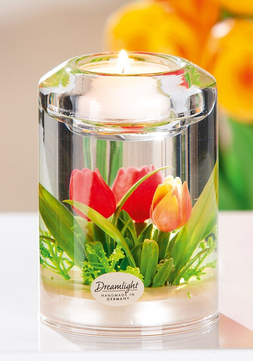 Candela Classic 