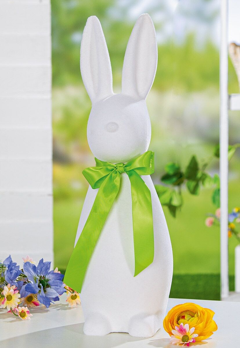 Bunny 