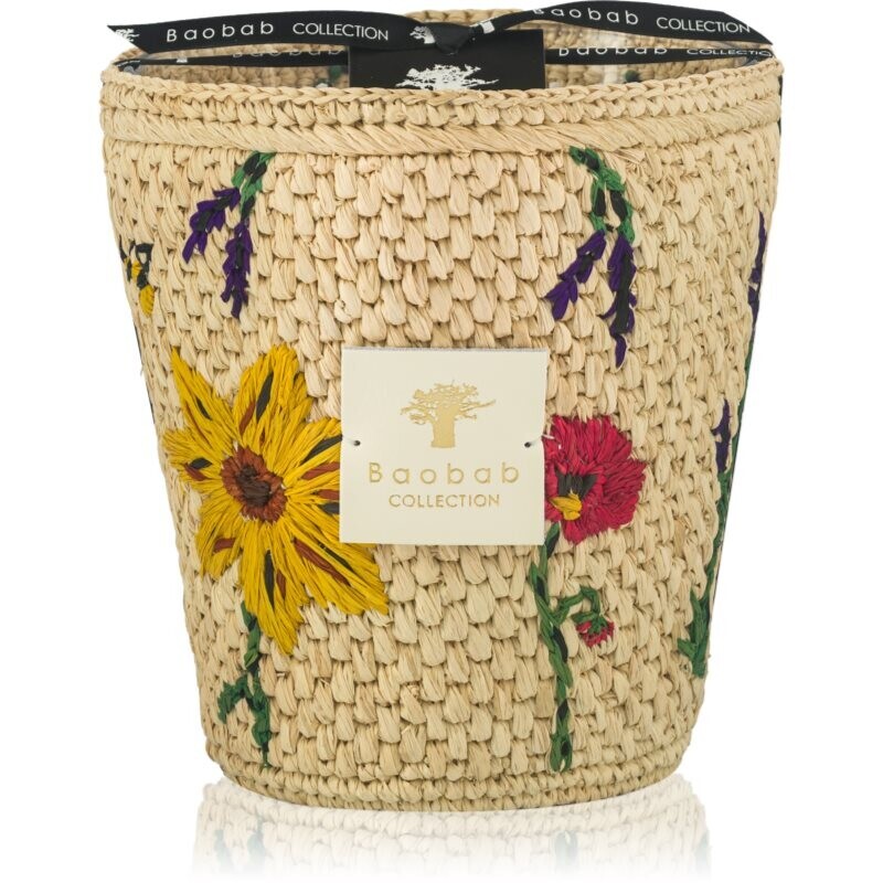 Baobab Collection Vony Ahitra vonná sviečka 1000 g