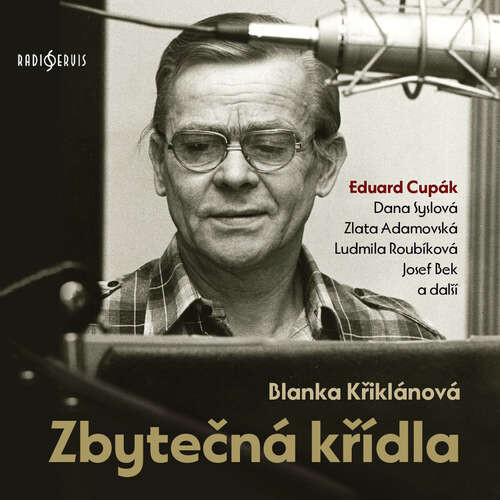 Zbytečná křídla - Blanka Křiklánová (mp3 audiokniha)