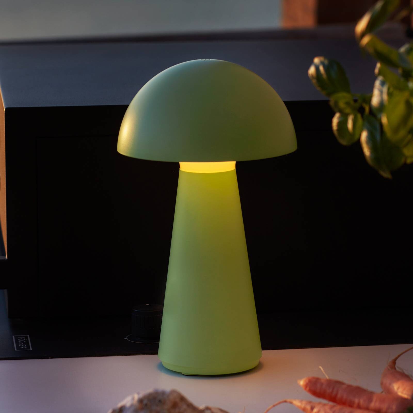 Stolová LED lampa na batérie Sam, zelená, plast, výška 28 cm, IP54