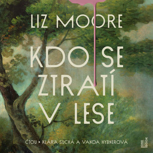 Kdo se ztratí v lese - Liz Moore (mp3 audiokniha)