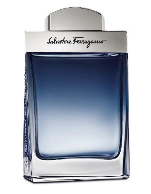 Salvatore Ferragamo Subtil Pour Homme - EDT 100 ml