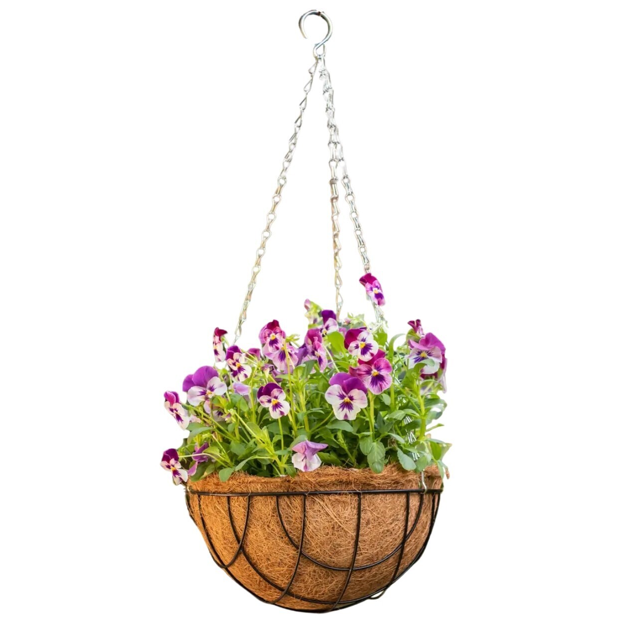 Závěsný květináč Sowy 30 cm černý/hnědý