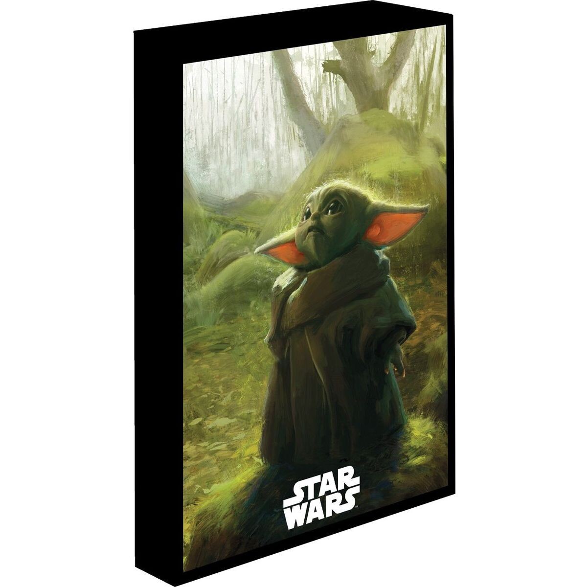 Pyramid International Star Wars Obraz LED svietiaci 30x40 cm