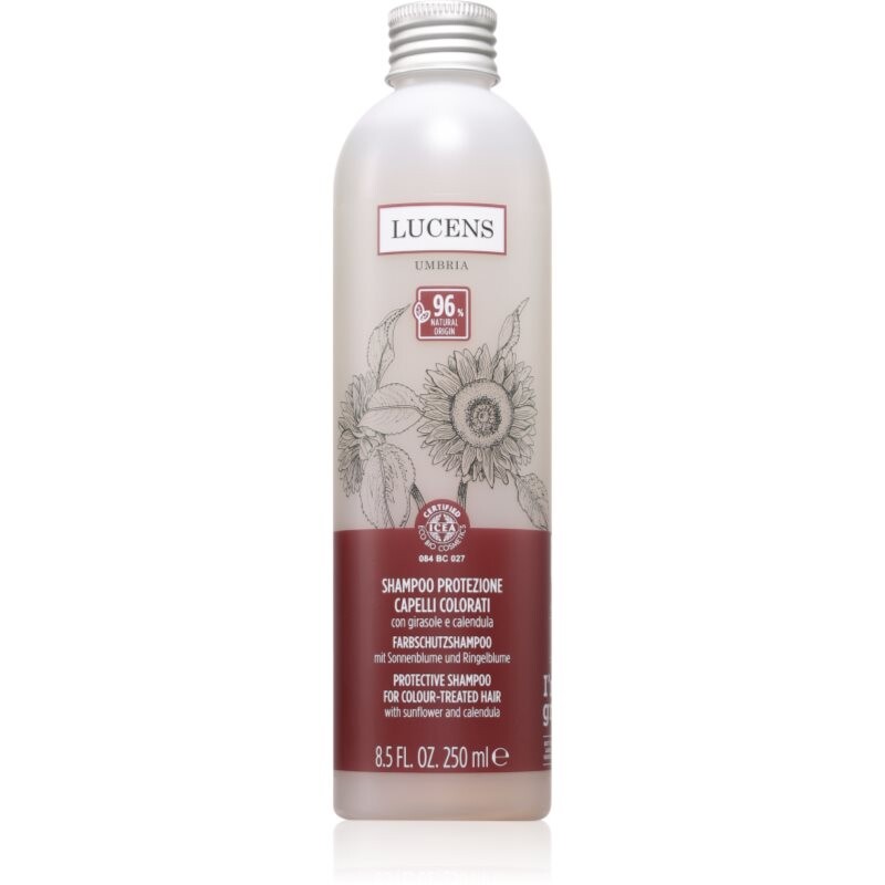 Kemon Group Shampoo Protezione šampón na ochranu farby 250 ml
