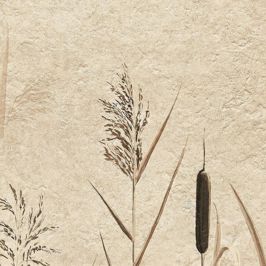 Dekor Beelitz Grass C 119,8/59,8