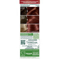 Farbenie Garnier  Permanent Hair Color Nutrisse Ultra Color - 5.64 Rouge